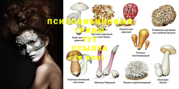 не бодяженный Аркадак